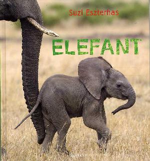 Elefant