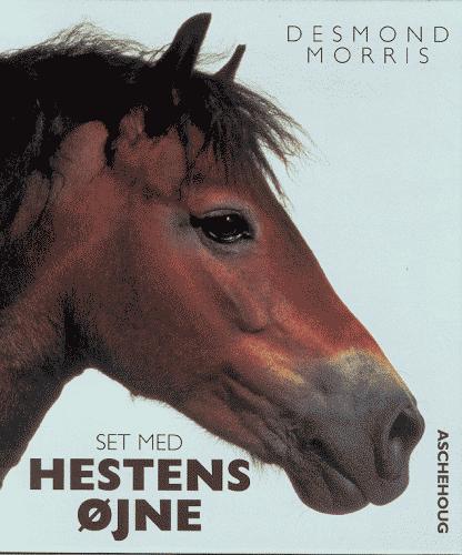 Set med hestens øjne