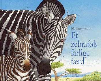Et zebraføls farlige færd