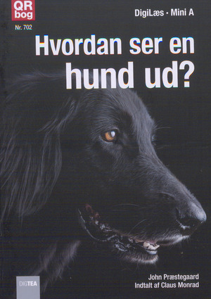 Hvordan ser en hund ud?