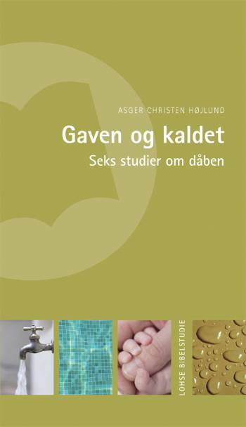 Gaven og kaldet : seks studier om dåben