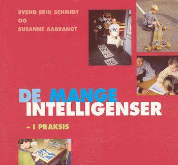 De mange intelligenser - i praksis