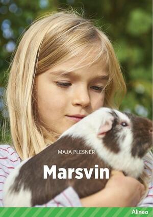 Marsvin