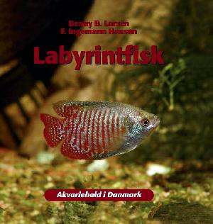 Labyrintfisk