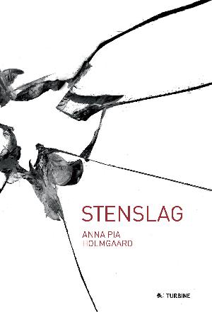 Stenslag