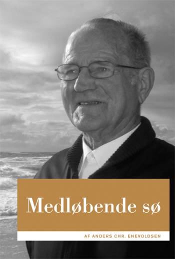 Medløbende sø