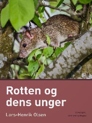 Rotten og dens unger