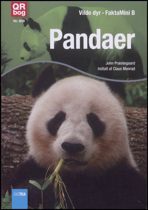 Pandaer