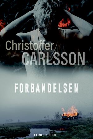 Forbandelsen : roman om en forbrydelse