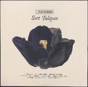 Sort tulipan