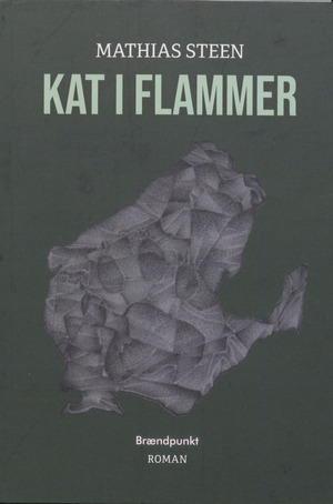 Kat i flammer