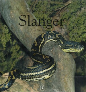 Slanger