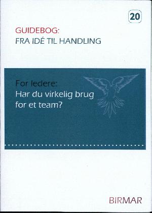 Har du virkelig brug for et team?