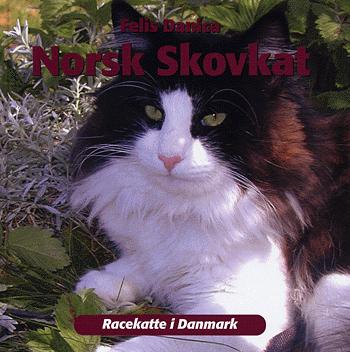 Norsk skovkat