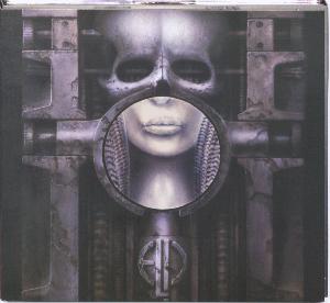 Brain salad surgery