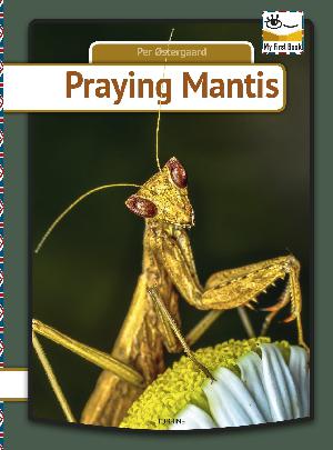 Praying mantis