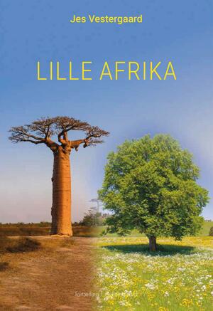 Lille Afrika : en fortælling om drømme
