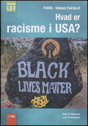 Hvad er racisme i USA?