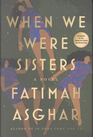 When we were sisters : a novel
