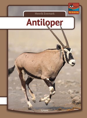Antiloper