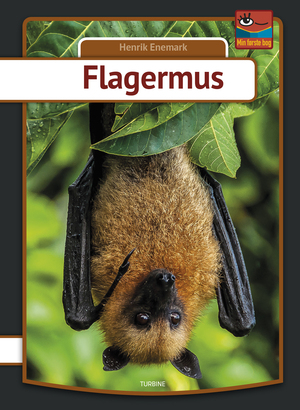 Flagermus