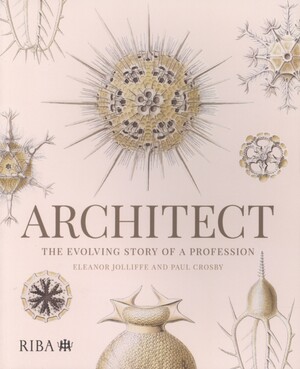 Architect : the evolving story of a profession