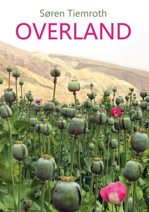 Overland : en historie fra The Hippie Trail