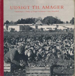 Udsigt til Amager : udviklingen i Tårnby og Dragør kommuner i dette århundrede