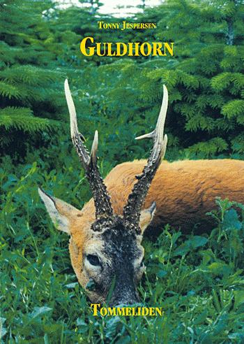 Guldhorn : roman fra naturens verden om en usædvanlig råbuks liv