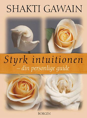 Styrk intuitionen : din personlige guide