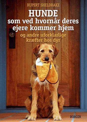 Hunde som ved hvornår deres ejere kommer hjem og andre uforklarlige kræfter hos dyr