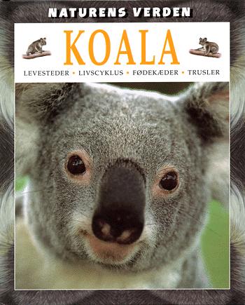 Koala : levesteder, livscyklus, fødekæder, trusler