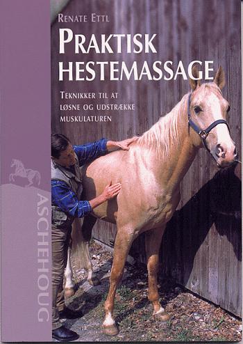 Praktisk hestemassage : teknikker til at løsne og udstrække muskulaturen