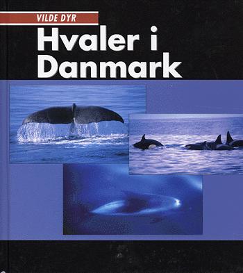 Hvaler i Danmark