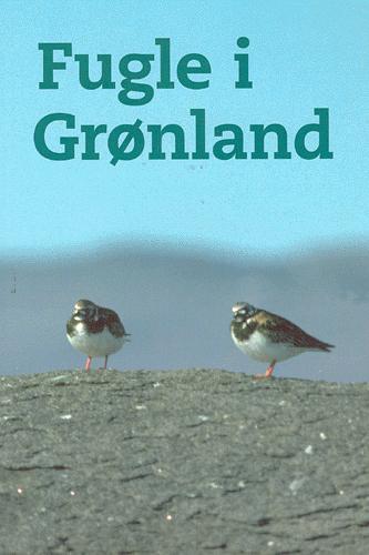 Fugle i Grønland