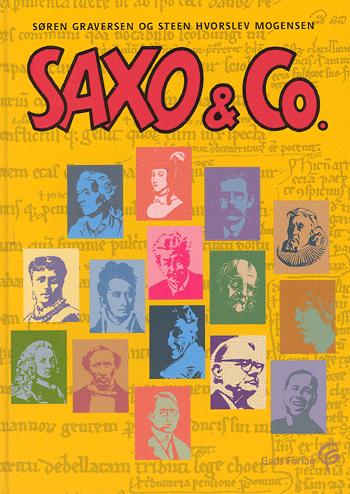 Saxo & Co. : dansk litteraturhistorie og tekstanalyse