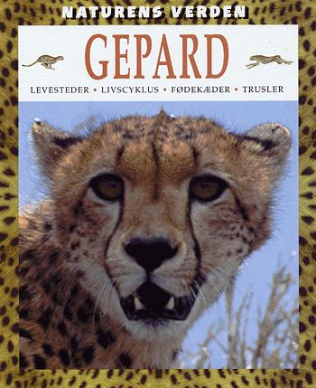 Gepard : levesteder, livscyklus, fødekæder, trusler