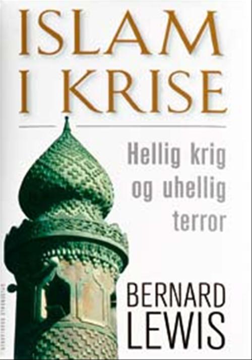 Islam i krise : hellig krig og uhellig terror