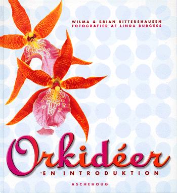 Orkideer : en introduktion