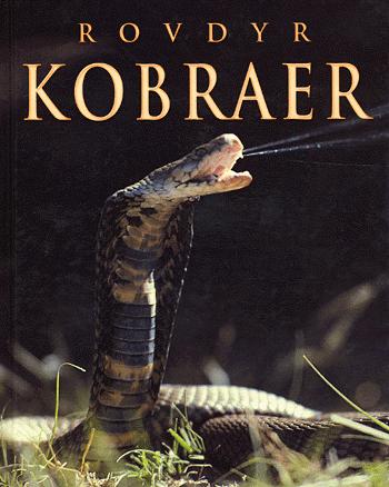 Kobraer
