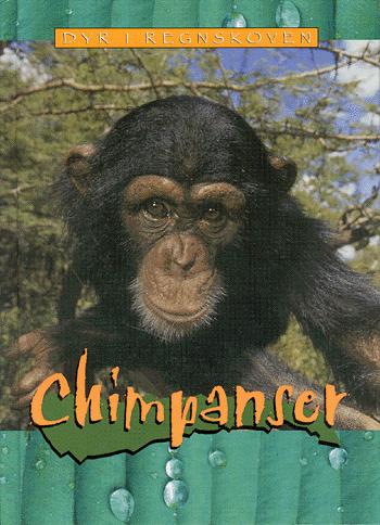 Chimpanser
