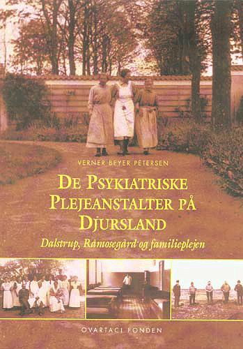 De psykiatriske plejeanstalter på Djursland : Dalstrup, Råmosegård og familieplejen