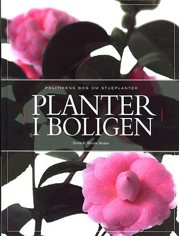 Planter i boligen : Politikens bog om stueplanter