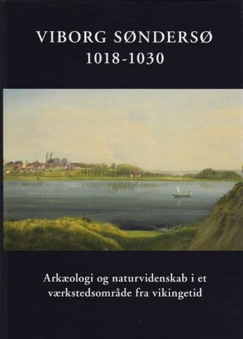 Viborg Søndersø 1018-1030 : arkæologi og naturvidenskab i et værkstedsområde fra vikingetid