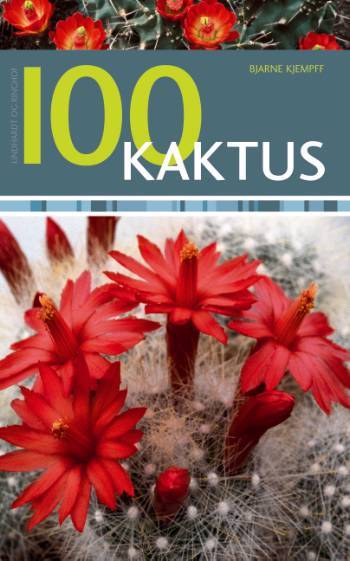 100 kaktus