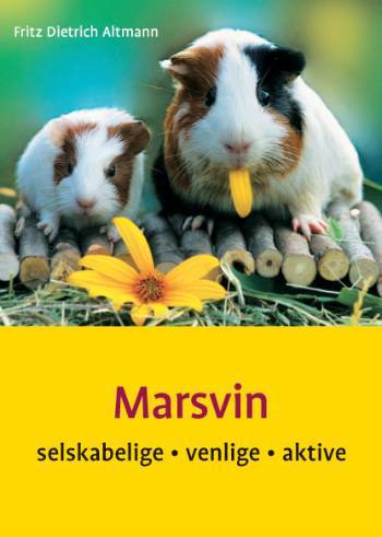 Marsvin : selskabelige, venlige, aktive