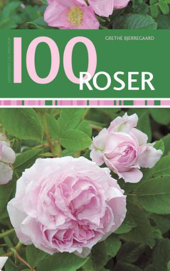 100 roser