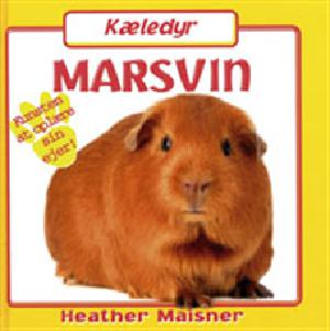 Marsvin : kunsten at oplære sin ejer!