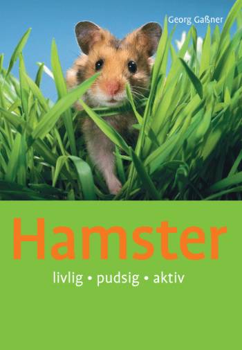 Hamster : sød, sjov, aktiv