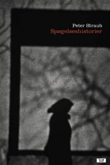 Spøgelseshistorier: af Peter Straub